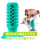 犬用 歯ブラシ 噛む おもちゃ 歯み