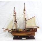 帆船模型 完成品 木製 レディ ワシントン Lady Washington 全長 63cm T133