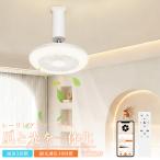 [2026 новинка ] с вентилятором освещение потолочный светильник вентилятор маленький размер LED потолочный вентилятор свет потолочный светильник дистанционный пульт Appli функционирование style свет тонировка style способ экономия энергии 50W соответствует строительные работы не необходимо 