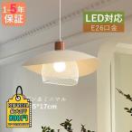 ペンダントライト 北欧 おしゃれ LED電球 金属 天井照明器具 お洒落 リビング ダイニング キッチン オシャレ ベッドルーム インテリア シンプル 可愛い 吊下げ灯