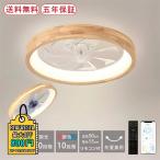 シーリングライト ファンライト LED電球 天井照明器具 超薄型 北欧 おしゃれ 調光調温 扇風機 6畳 8畳 10畳 ファン付き 透かし彫り リビング サーキュレーター