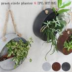 ¥¢¥Ç¥Ú¥·¥å a depeche ¥×¥é¥¯¥È ¥µ¡¼¥¯¥ë ¥×¥é¥ó¥¿¡¼ pract circle planter S PCT-CCP-S ¥Ö¥ê¥¿¢ÌÚÈ ¥¬¡¼¥Ç¥óÍÑÉÊ ¥¬¡¼¥Ç¥Ë¥ó¥°
