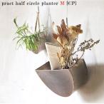 ¥¢¥Ç¥Ú¥·¥å a depeche ¥×¥é¥¯¥È ¥Ï¡¼¥Õ¥µ¡¼¥¯¥ë ¥×¥é¥ó¥¿¡¼ pract half-circle planter M copper PCT-CCP-H-M-CP ¥Ö¥ê¥¿¢ÌÚÈ ¥¬¡¼¥Ç¥Ë¥ó¥°