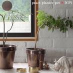 ¥¢¥Ç¥Ú¥·¥å a depeche ¥×¥é¥¯¥È ¥×¥é¥ó¥¿¡¼ ¥Ý¥Ã¥È pract planter pot S copper PCT-PTP-S-CP ¥Ö¥ê¥¿¢ÌÚÈ ¥¬¡¼¥Ç¥óÍÑÉÊ ¥¬¡¼¥Ç¥Ë¥ó¥° ´ÑÍÕ¿¢Êª