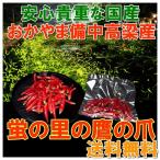 鷹の爪 送料無料 乾燥赤唐辛子 ホール 10g2パック 脱気パック 国産おかやま備中高梁 蛍飛び交う清流の里 福地産