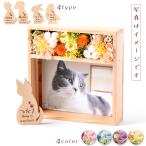  pet .... flower preserved flower picture frame name inserting plate .. is . garden for pets memorial dog cat ... bird water instead un- necessary 