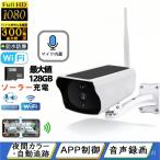 防犯カメラ ワイヤレス 屋外 ソーラー 家庭用 wifi ドーム型 300万画素 録画 電源不要 IP66防水 防塵 赤外線夜視 小型 監視カメラ スマホ 自動追跡 双方向対話
