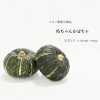  бесплатная доставка . Chan тыква 2 шар входить .. длина Kumamoto сельское хозяйство дом прямая поставка свежесть 1 номер тыква юг . ho k ho k400~600 грамм 