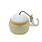 ** snowpeak Snow Peak ....LED фонарь [ яркость 100lm] первый период модель немного царапина . загрязнения есть 