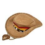 Tokyo Disney resort woody вентилятор колпак 58cm немного царапина . загрязнения есть 