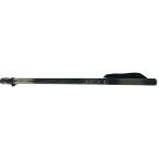 VV DAIWA Daiwa рыбалка удилище DAIWA Daiwa весна . карбид 52M чехол для удочки приложен заметная царапина . загрязнения нет 