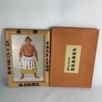 ショッピング大相撲 ■■  大相撲優勝額 ミニチュア 横綱 千代の富士貢関 平成元年三月場所 毎日新聞社 やや傷や汚れあり