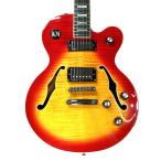 EPIPHONE Epiphone ALLEYKAT жесткий чехол имеется немного царапина . загрязнения есть 