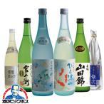 日本酒 送料無料 日本酒セット 名城 春夏 飲み比べ 6本セット 720ml×6本 名城酒造