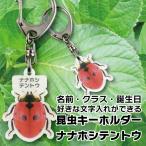 名入れ プレゼント 昆虫 キーホルダー ナナホシテントウ 子供 入学 入園 お祝い ネームタグ 名札 ネームプレート ムシ むし 母の日 父の日
