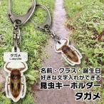 名入れ プレゼント 昆虫 キーホルダー タガメ 子供 入学 入園 お祝い ネームタグ 名札 ネームプレート ムシ むし 母の日 父の日