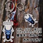 名入れ プレゼント 昆虫 キーホルダー オオクワガタ  子供 チャイルド ネームタグ 名札 ネームプレート むし ムシ 母の日 父の日