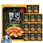 チーズスナック おつまみ 送料無料 