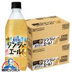 2026年4月7日新発売 炭酸飲料 送料無料 サントリー天然水 特製ジンジャーエール 500ml×2ケース/48本(048)『SUF』