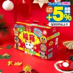 2025年12月3日限定発売 福箱 カップラーメン麺 詰め合わせ 送料無料 ヤマダイ 福箱 凄麺 ご当地ラーメン 東日本編 6食入り『FSH』 福袋