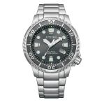 CITIZEN PRO MASTER シチズン プロマスター MARINEシリーズ ダイバーズ 氷の洞窟 グレー シルバー メンズ腕時計 BN0167-50H