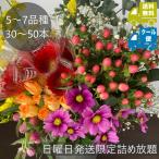 生花の福袋 日曜日発送限定ボリュームアップ 5種類以上30本〜50本 (クール便選択可) 土曜日14時までの注文で日曜日発送 花 生花 切り花