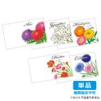 【単品・指定不可】 花の種子（横型）