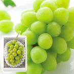  автомобиль in мускат 1.( примерно 500g) 2512163[ прямая поставка товар ] бесплатная доставка (* отгрузка. 12 месяц сверху .~) надеты день указание не возможно 