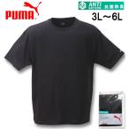 大きいサイズ メンズ PUMA 抗菌防臭半袖Tシャツ 3L 4L 5L 6L