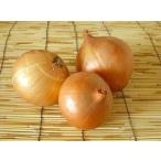 [ Hokkaido производство кроме того, запад Япония производство ] иметь машина кроме того, природа сельское хозяйство закон шар лук порей примерно 3kg