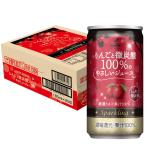 神戸居留地 りんご 微炭酸 100% やさ