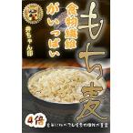 弁次郎商店 BG もち麦 10kg 弁ちゃん印