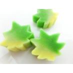  палка отруби клен . синий клен нама-фу рефрижератор 2 шт маленький примерно 20cm* палка отруби [ синий клен 2 шт ]*