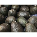  Mexico производство авокадо 24?30 шар ввод ( коробка )