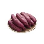  батат .. остров золотой час M размер 3kg батат Satsuma клубень .. овощи Ishikawa префектура производство Kanazawa .... суши тщательно отобранный жарение клубень ... клубень .. остров золотой час 1 коробка 3kg