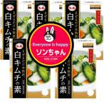  цветок . мех che белый кимчи. элемент ( сырой овощи 1k для )X5 шт +son Chan стикер 1 листов клиент . по желанию сборный сделал. # Корея еда * Корея пищевые ингредиенты * кимчи материал *