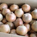  время от времени отправка средний лук репчатый 10kg шар лук порей M размер вместе . Hokkaido лук овощи новый лук репчатый . хорошо . или север видеть F1 или название .