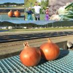  Awaji Island производство шар лук порей [..... шар лук порей 2L 5kg] восток средний синий .