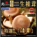  Hokkaido производство сырой .. очень большой premium Kiyoshi .2L размер 4 шар × 2 упаковка прямая поставка от производителя высококлассный мясо толщина .. шиитаке .... Sapporo Kiyoshi рисовое поле производство .. . грибы 