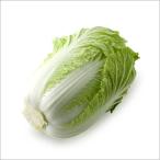  местного производства китайская капуста 5~6 шар ввод 13~14 kilo 1 коробка 