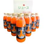 2025年産無農薬にんじん使用 ストレ