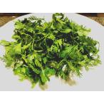 [ Ibaraki префектура производство ]500g нет пестициды культивирование кориандр кориандр ..1 пакет 500g