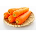  местного производства морковь 2L*L*M размер. средний из наш магазин случайный 2 kilo *5 kilo *10 kilo морковь человек Gin . для бытового использования для бизнеса . еда для пищевые ингредиенты Event пищевые ингредиенты уход для еда 