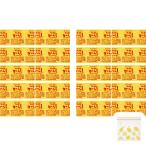 【まとめ買い 調味料 小袋セット】 S&B からし 2g×20袋 おまけ付き （ニトリ フリーザーバッグ）