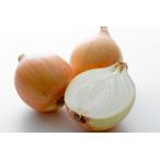  Hokkaido производство Smile мяч ( шар лук порей ) 5.0kg house еда 