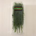 Irodoriya укроп свежий трава еда для Wakayama префектура производство .. магазин (15g)