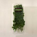 Irodoriya итальянская петрушка ( perth re-) свежий трава еда для Wakayama префектура производство прямая поставка от производителя .. магазин (50g)