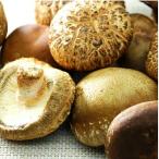 . дерево сырой шиитаке местного производства нет пестициды * нет химия удобрение ..(500g)