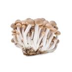  симедзи 100gb нет meji100g пестициды * химия удобрение не использование Nagano производство 