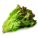  брокколи пестициды * химия удобрение не использование префектура Аичи производство 3 АО 